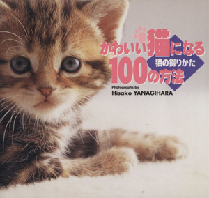 かわいい猫になる100の方法 猫の撮りかた