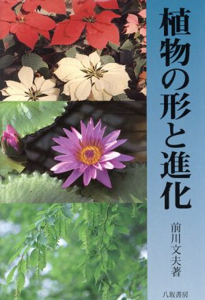 植物の形と進化