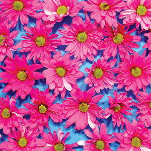 ブラック・マドンナ