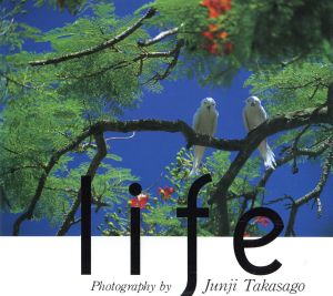 life 高砂淳二写真集 TOUCH BOOKS