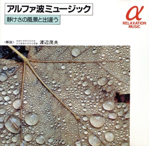 アルファ波ミュージック 静けさの風景と出逢う