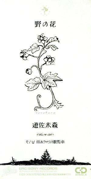 【8cm】野の花