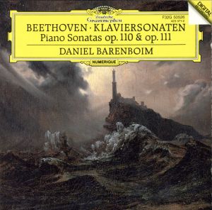 ベートーヴェン:ピアノ・ソナタ第31番・第32番