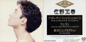 【8cm】ナポレオンフィッシュと泳ぐ日