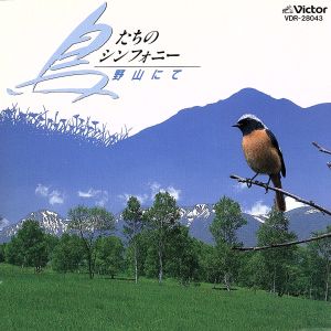 鳥たちのシンフォニー～野山にて