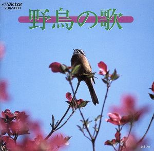 野鳥の歌