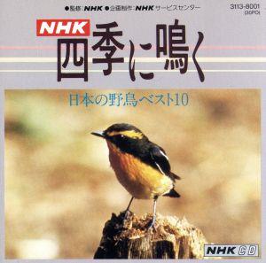 日本の野鳥ベスト10