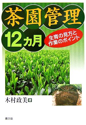 茶園管理12ヵ月 生育の見方と作業のポイント