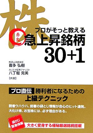 株 プロがそっと教える赤丸急上昇銘柄30+1