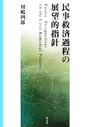 民事救済過程の展望的指針