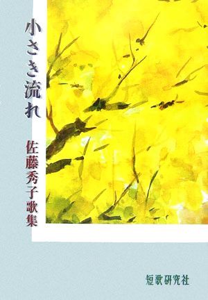 小さき流れ 佐藤秀子歌集 白橿叢書