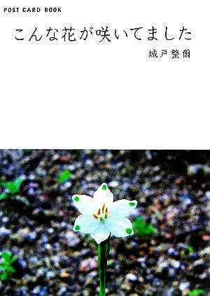 こんな花が咲いてました 新風舎文庫POST CARD BOOK