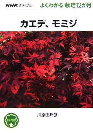 趣味の園芸 カエデ、モミジ よくわかる栽培12か月 NHK趣味の園芸