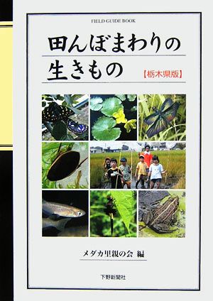 田んぼまわりの生きもの 栃木県版