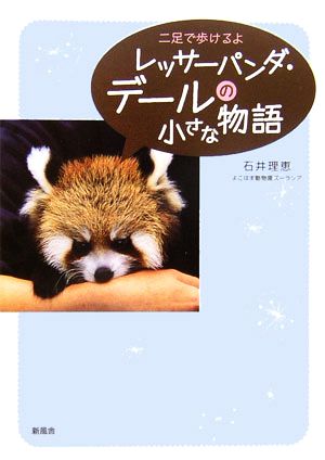 レッサーパンダ・デールの小さな物語 二足で歩けるよ