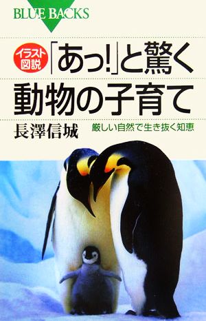 イラスト図説 「あっ！」と驚く動物の子育て 厳しい自然で生き抜く知恵 ブルーバックス