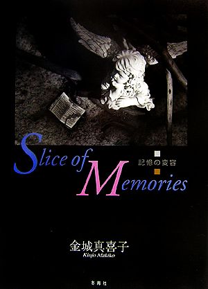 Slice of Memories 記憶の変容