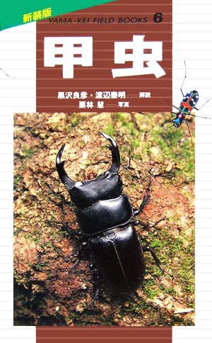 甲虫新装版山溪フィールドブックス6