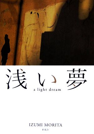 浅い夢a light dream