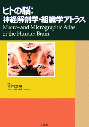 ヒトの脳:神経解剖学・組織学アトラス