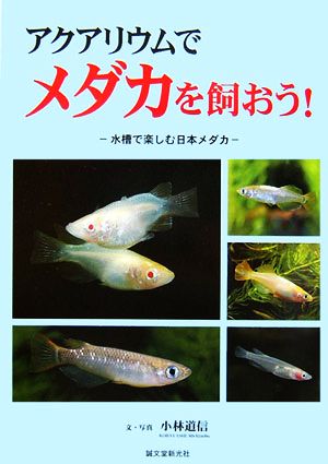 アクアリウムでメダカを飼おう！ 水槽で楽しむ日本メダカ