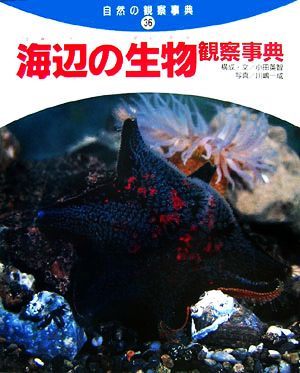 海辺の生物観察事典 自然の観察事典36