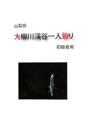 山梨県 大柳川渓谷一人釣り 初級者用