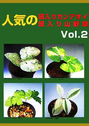 人気の斑入りカンアオイ・斑入り山野草(vol.2)