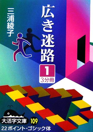 広き迷路(1) 大活字文庫