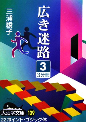 広き迷路(3) 大活字文庫