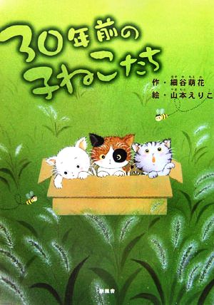 30年前の子ねこたち