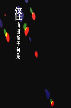 径 山田径子句集 未来図叢書