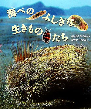 海べのふしぎな生きものたち ちしきのぽけっと2