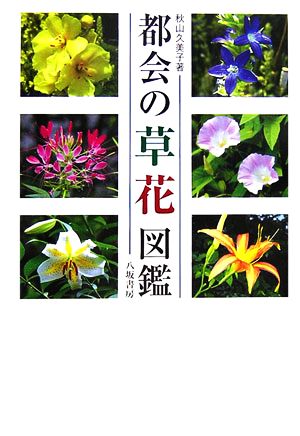 都会の草花図鑑