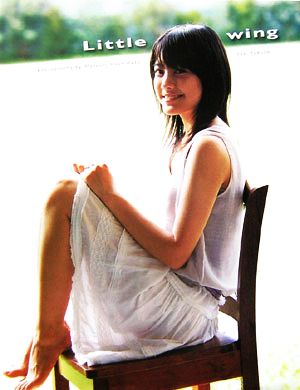 Little wing 福田沙紀DVD&PHOTO BOOK