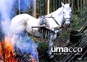 umacco 最後の働く馬たち