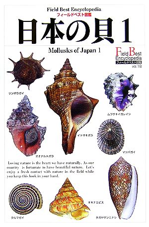 日本の貝(1) 巻貝 フィールドベスト図鑑18