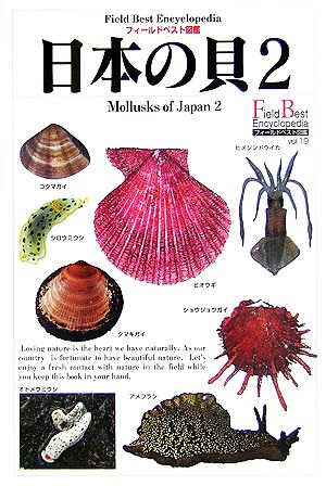 日本の貝(2)二枚貝・陸貝・イカ・タコほかフィールドベスト図鑑19