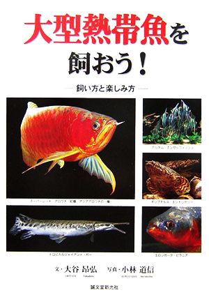 大型熱帯魚を飼おう！ 飼い方と楽しみ方