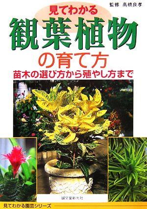 見てわかる観葉植物の育て方 苗木の選び方から殖やし方まで 見てわかる園芸シリーズ