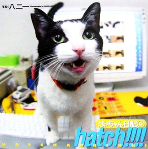 hatch!!!!はっちゃん日記(4)はっちゃん日記