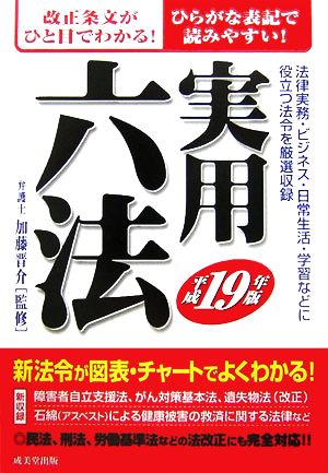 実用六法(平成19年版)