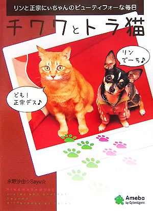 チワワとトラ猫 リンと正宗にぃちゃんのビューティフォーな毎日