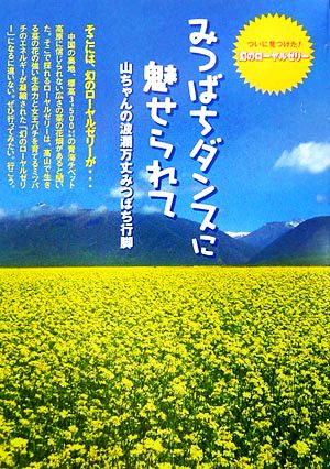 みつばちダンスに魅せられて 山ちゃんの波瀾万丈みつばち行脚