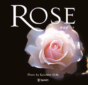 ROSE 薔薇・バラ