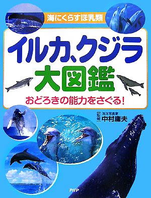 イルカ、クジラ大図鑑 海にくらすほ乳類 おどろきの能力をさぐる！