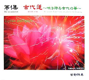 古代蓮(第1集) 咲き誇る古代の華