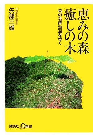 恵みの森 癒しの木 森の名所50選を歩く 講談社+α新書