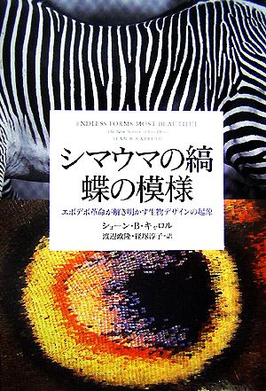 シマウマの縞 蝶の模様エボデボ革命が解き明かす生物デザインの起源