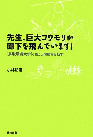 先生、巨大コウモリが廊下を飛んでいます！ 鳥取環境大学の森の人間動物行動学